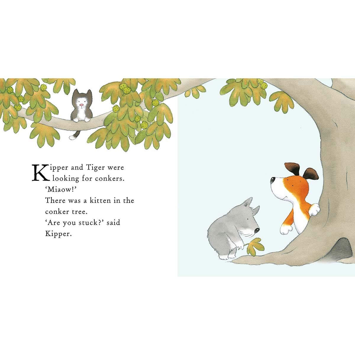 Kipper_7