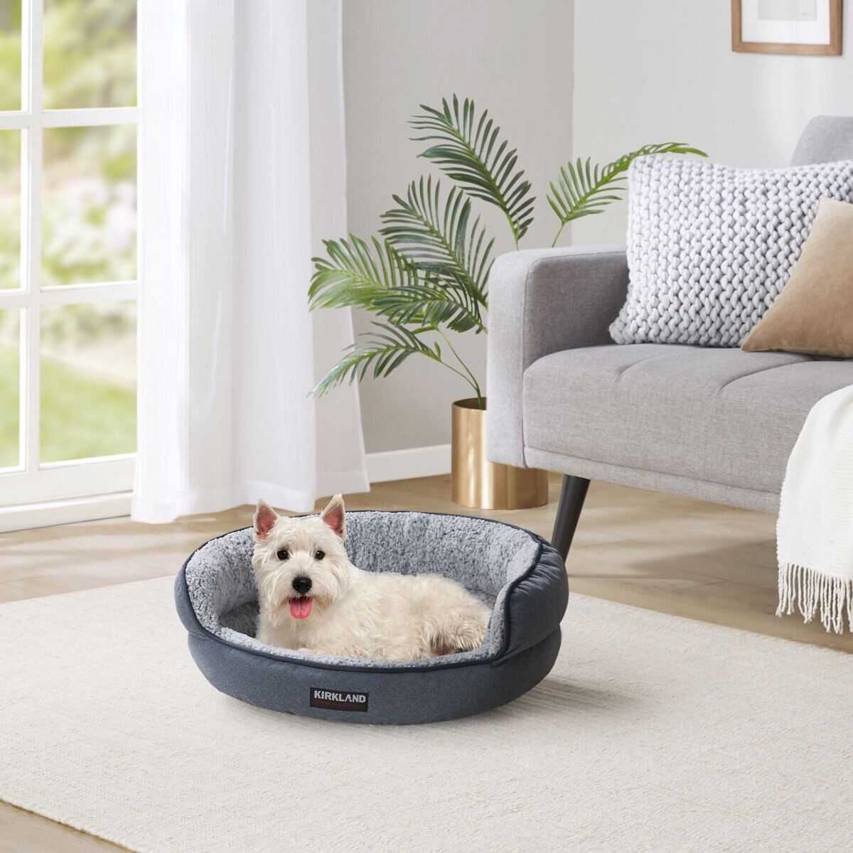 Dog Bed in Lounge