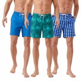 Swims Men's Swim Shorts