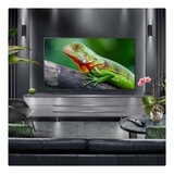 Buy LG 65QNED80A6A.AEK 65" QNED TV at Costco.co.uk