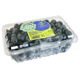Organic Blueberries, 510g