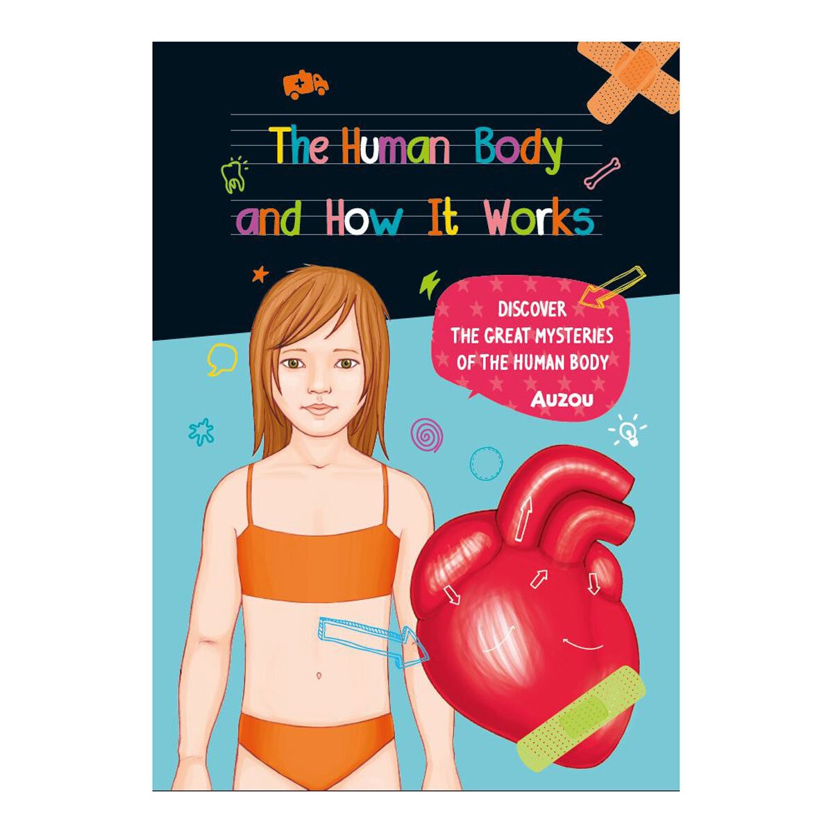 Human Body