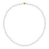 6.5-7mm Cultured Freshwater White Pearl Strand Necklace and 7-7.5mm Stud Earrings, 18ct Yellow Gold