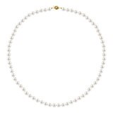 6.5-7mm Cultured Freshwater White Pearl Strand Necklace and 7-7.5mm Stud Earrings, 18ct Yellow Gold