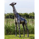 6ft Giraffe