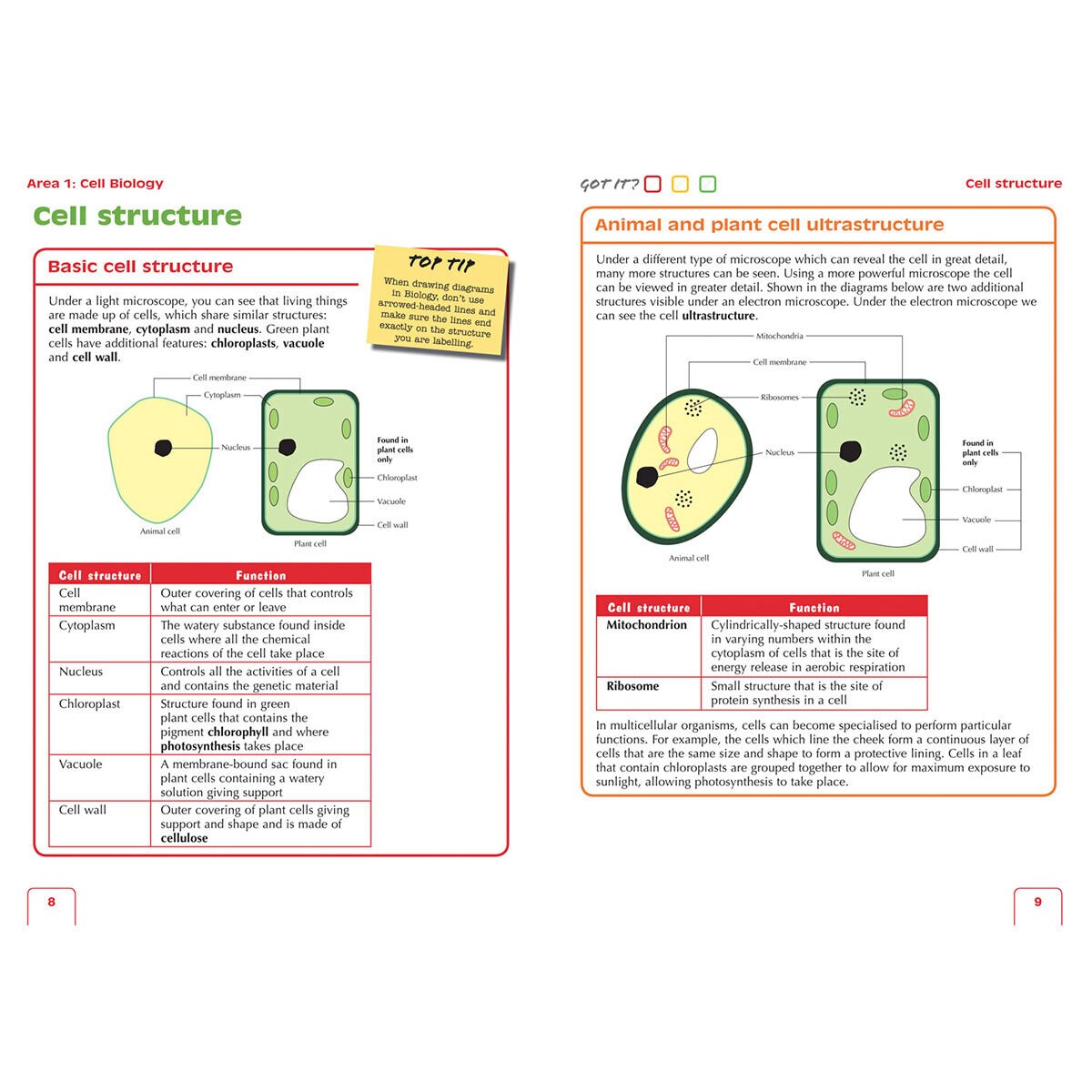 Leckie National 5 Biology Revision & Practice Books (14 -16 Years)