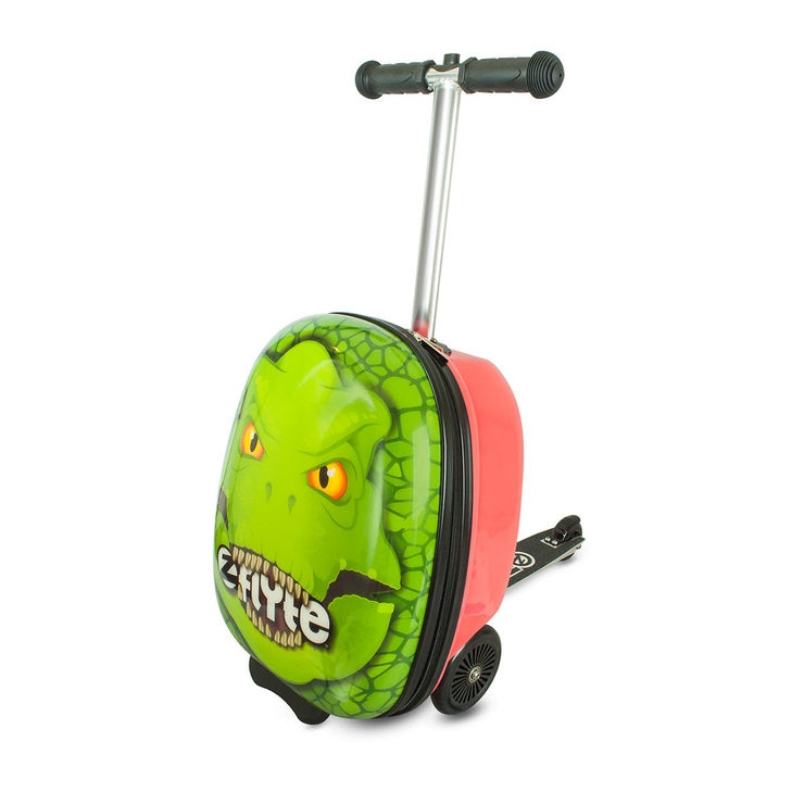 scooter hand luggage