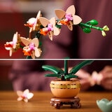 LEGO Botanicals Mini Orchid - Model 10343 (18+ Years)