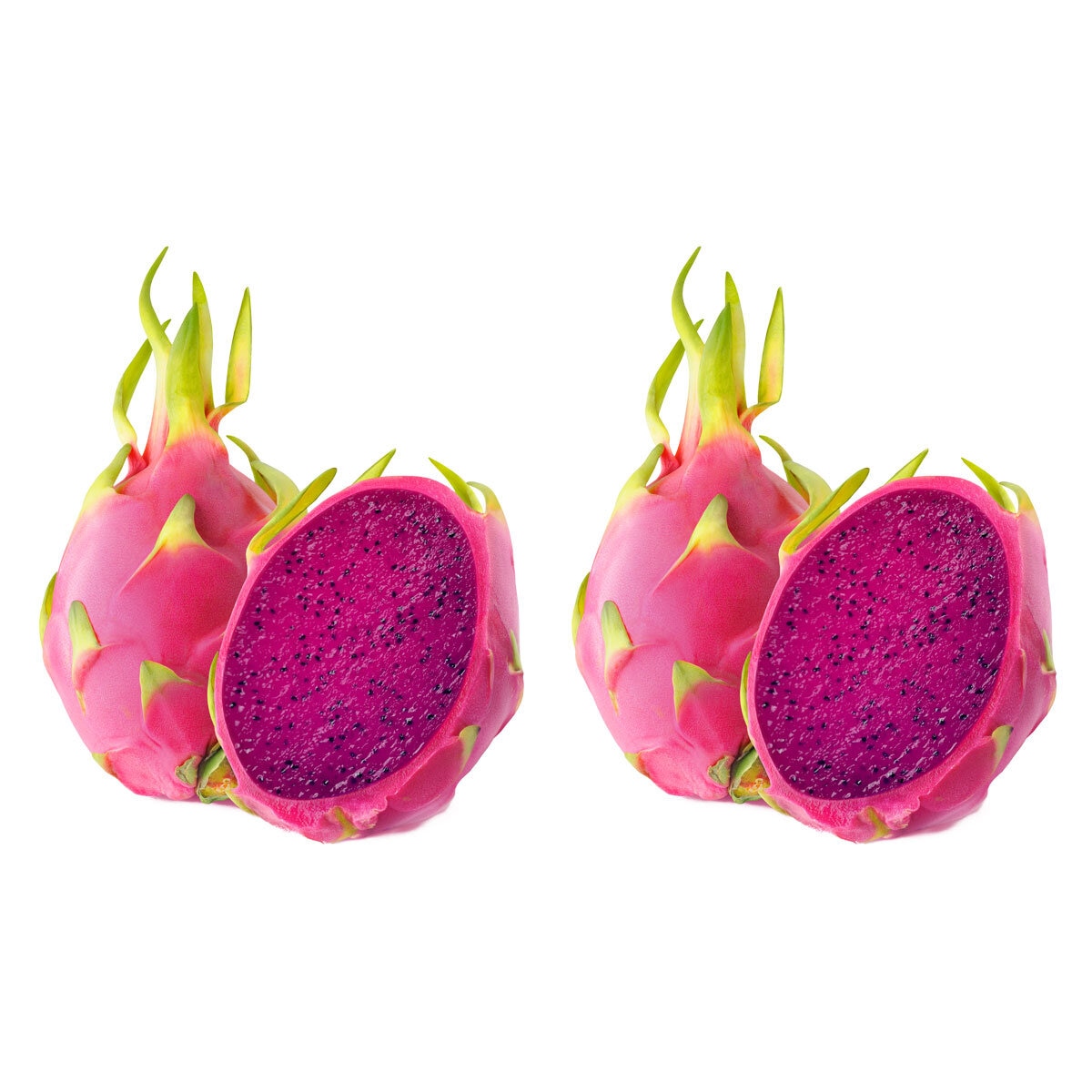 Pink Dragonfruit, 2 Pack
