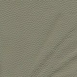 Nicoletti Grey Leather Sample Swatch Nicoletti Grey Leather Sample Swatch