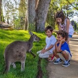 Go City San Diego 5-choice Explorer Pass, Child