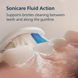 Lifestyle image of brushing teeth with fluid action Lifestyle image of brushing teeth with fluid action