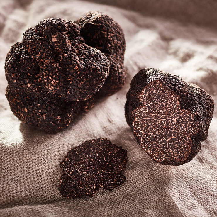 Truffle Hunter Fresh Black Winter Truffles (Tuber Melanosprum) in 3