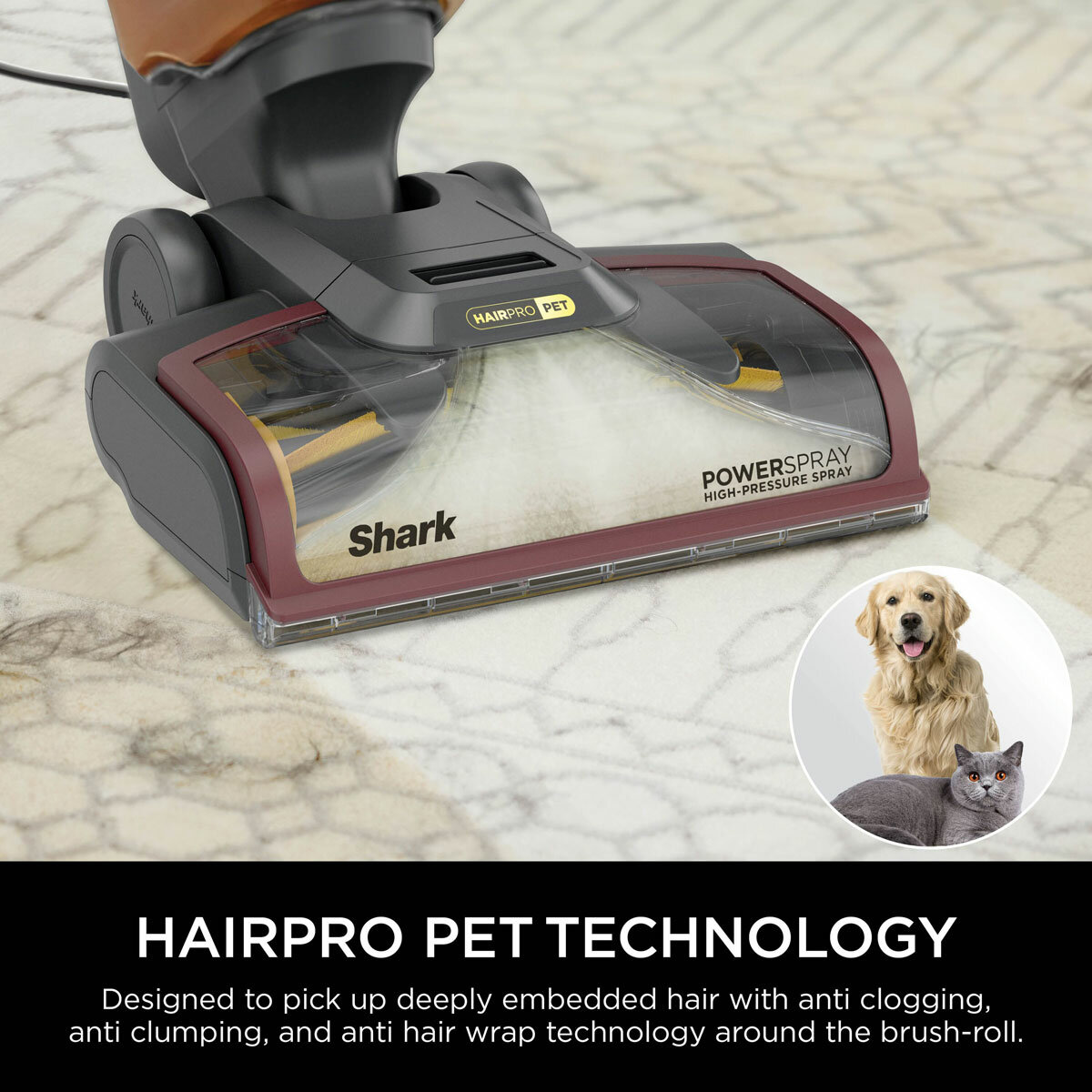 Lifestyle image of Shark CarpetXpert HairPro Pet Deep Carpet Cleaner with hairpro pet technology