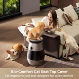 Lifestyle image bio comfort cat seat top cover