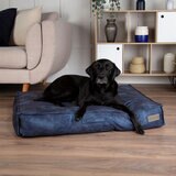 Dog sitting on Blue dog mattress