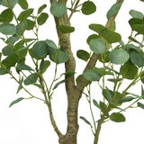 Artificial 6.5ft Eucalyptus Tree in French Crock Planter