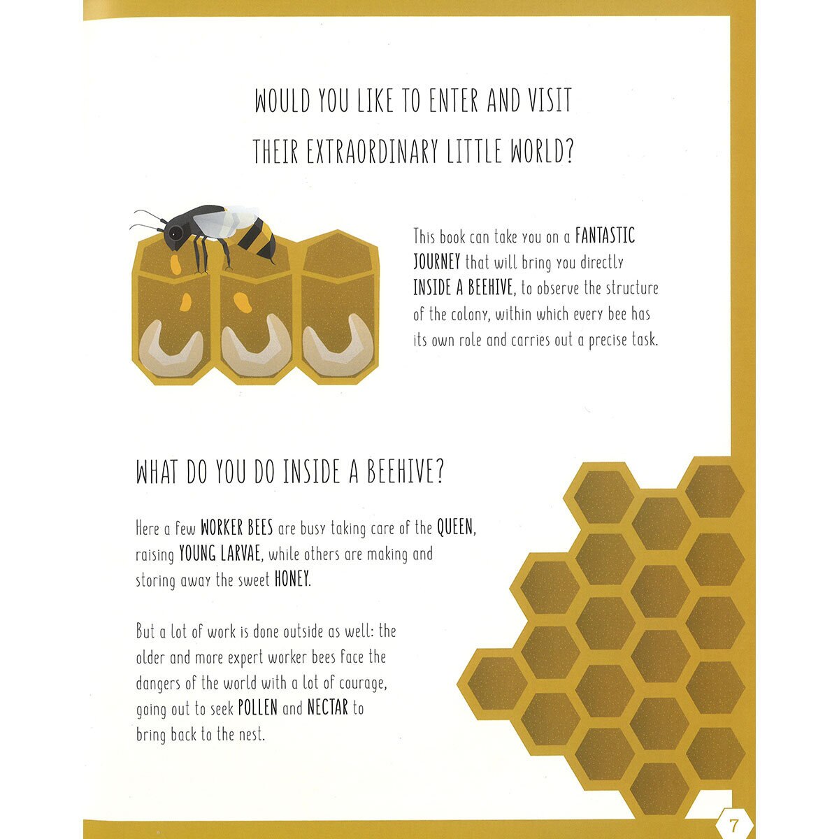 page spread bee