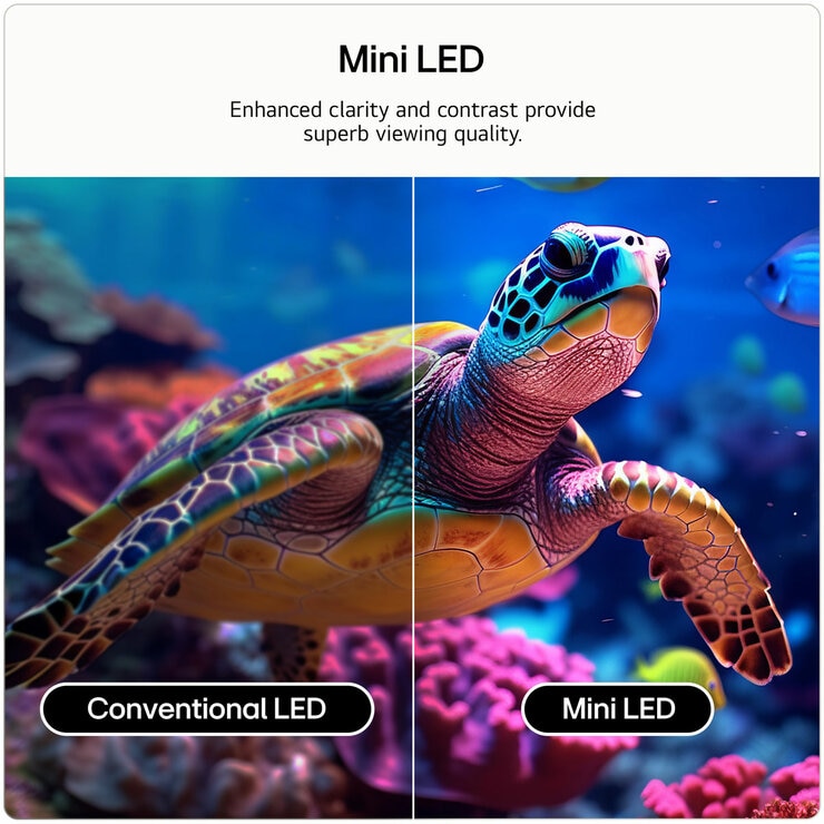 Buy at LG 65QNED7EB3C 65 Inch QNED Mini LED 4K Ultra HD Smart TV at Costco.co.uk