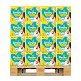 Pampers New Baby Nappies Size 1, Pallet x Jumbo+ 80 Pack