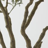 Artifical 8ft Olive Tree in Planter