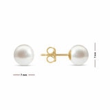 7-7.5mm Cultured Freshwater White Pearl Earrings, 14ct Yellow Gold 7-7.5mm Cultured Freshwater White Pearl Earrings, 14ct Yellow Gold
