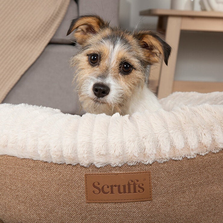 Scruffs® Ellen Donut Medium Bed in Tan, 55cm Scruffs® Ellen Donut Medium Bed in Tan, 55cm