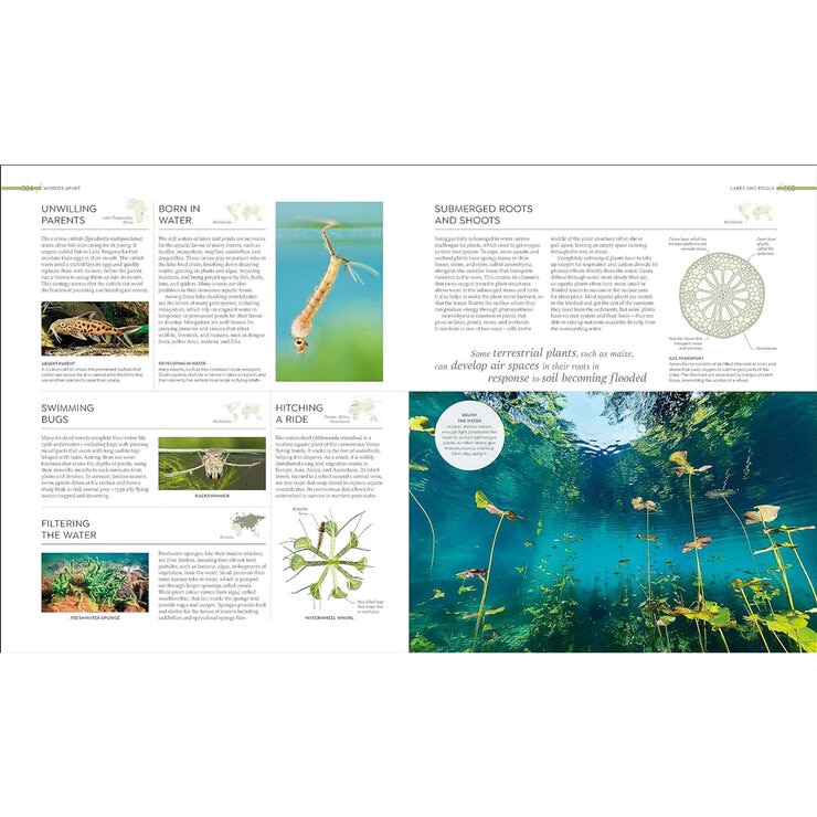 Habitats 4