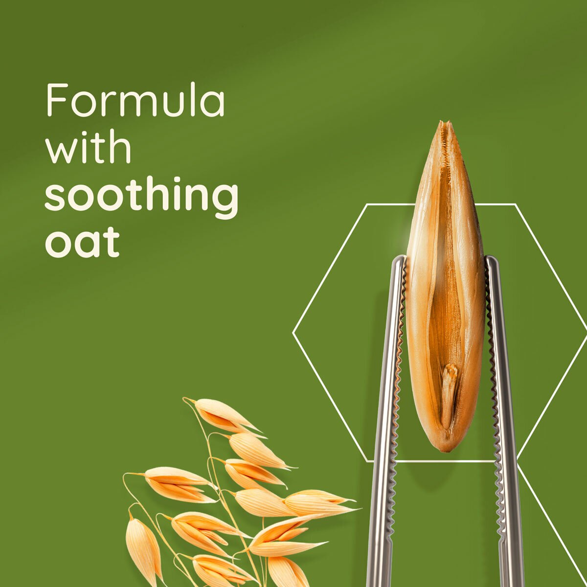 information on body wash