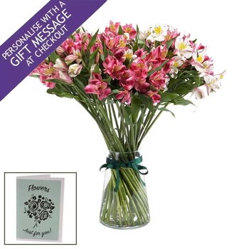 35 Stem Alstroemeria Flower Bouquet with Greetings Card