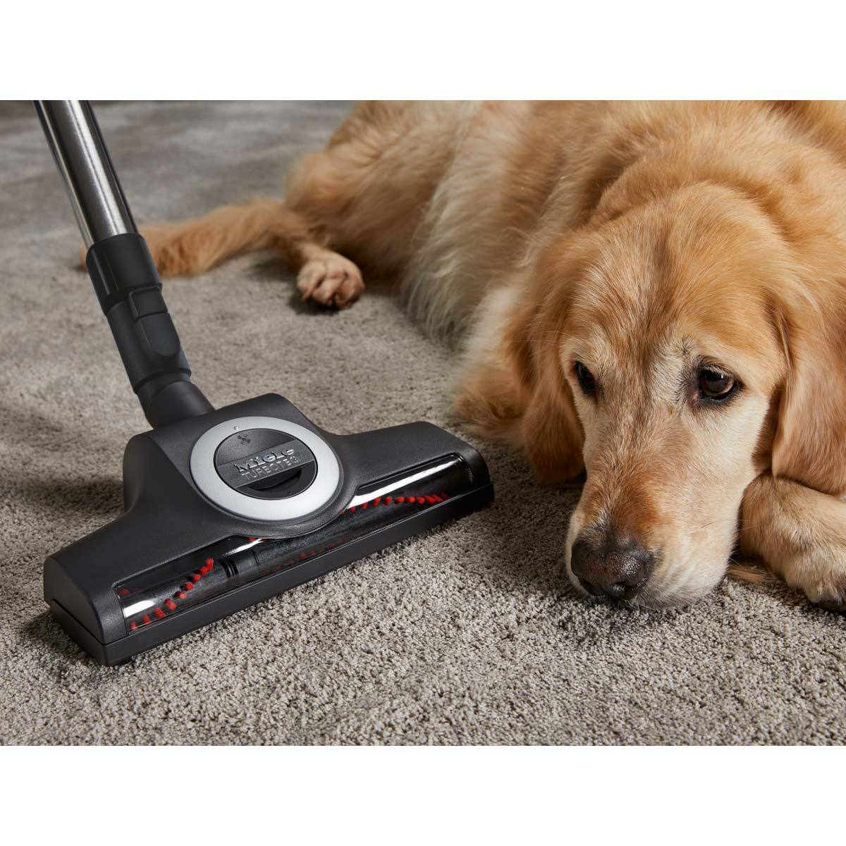Dog PowerLine Bagged Vacuum Cleaner