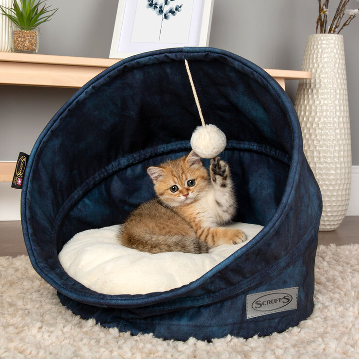 Cat Sitting in Cat Bed