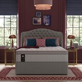 Sealy Posturepedic Elevate Ultra Rhapsody Plush Mattress in 4 Sizes