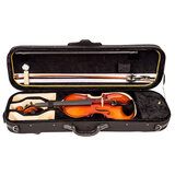 side profile of violin and case