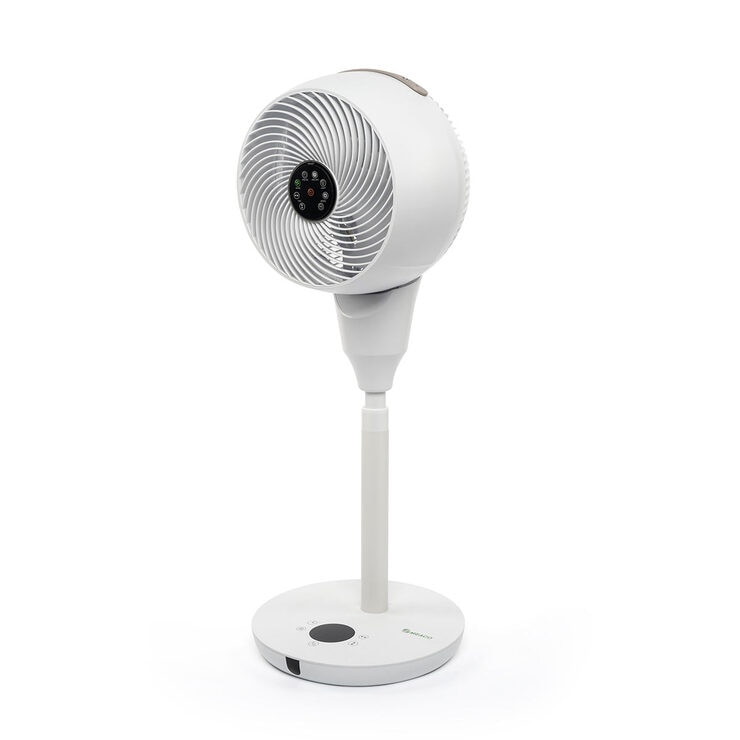 image of fan image of fan
