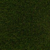 Namgrass Pragma 40mm Artificial Grass Roll in 4 Sizes