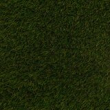 Namgrass Pragma 40mm Artificial Grass Roll in 5 Sizes