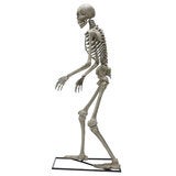 Halloween 6ft (11.8m) Animated Skeleton With LED Eyes