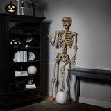 Halloween 7ft (2.1m) Poseable Skeleton Halloween 7ft (2.1m) Poseable Skeleton