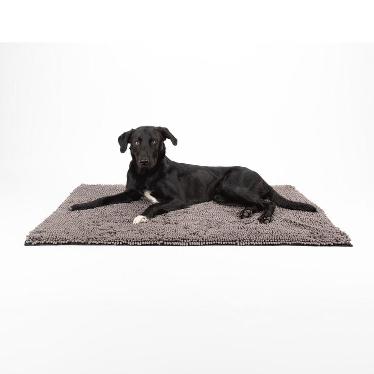 Black Dog on Mat