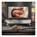 Buy LG OLED65B56LA.AEK 65" OLED TV at Costco.co.uk