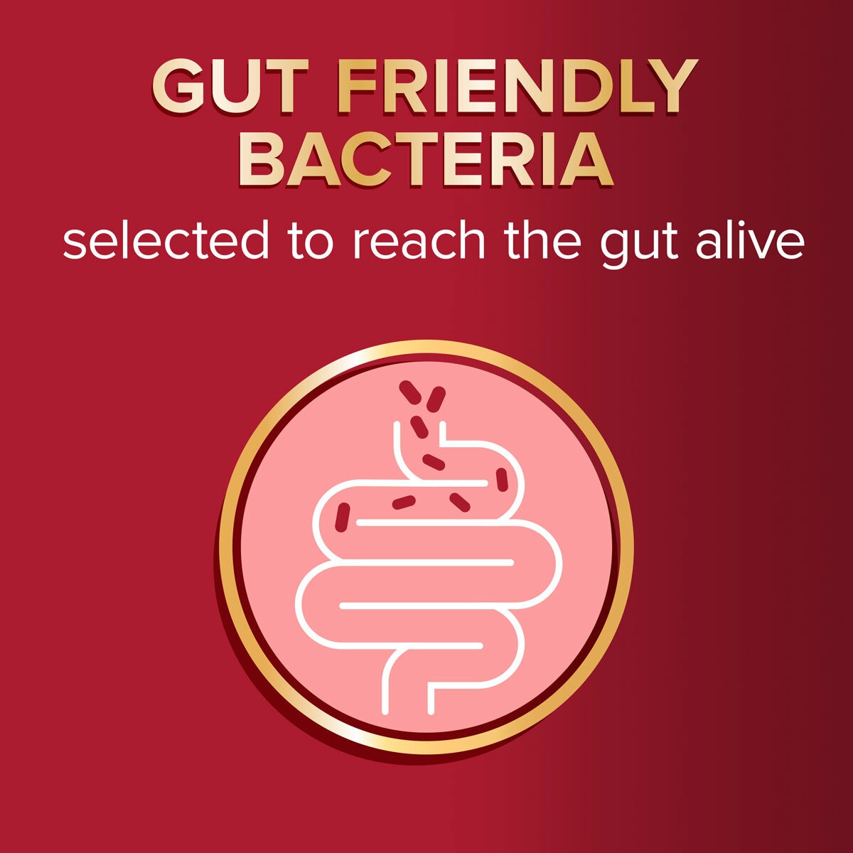 Seven Seas Omega 3 and Gut Friendly Bacteria, 3 x 30 Count Seven Seas Omega 3 and Gut Friendly Bacteria, 3 x 30 Count