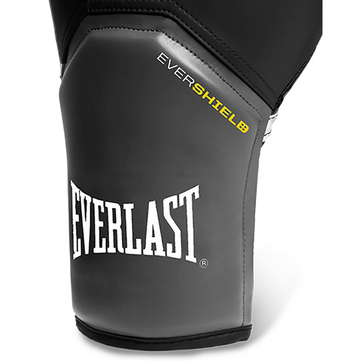 Everlast Boxing Glove and Jab Set