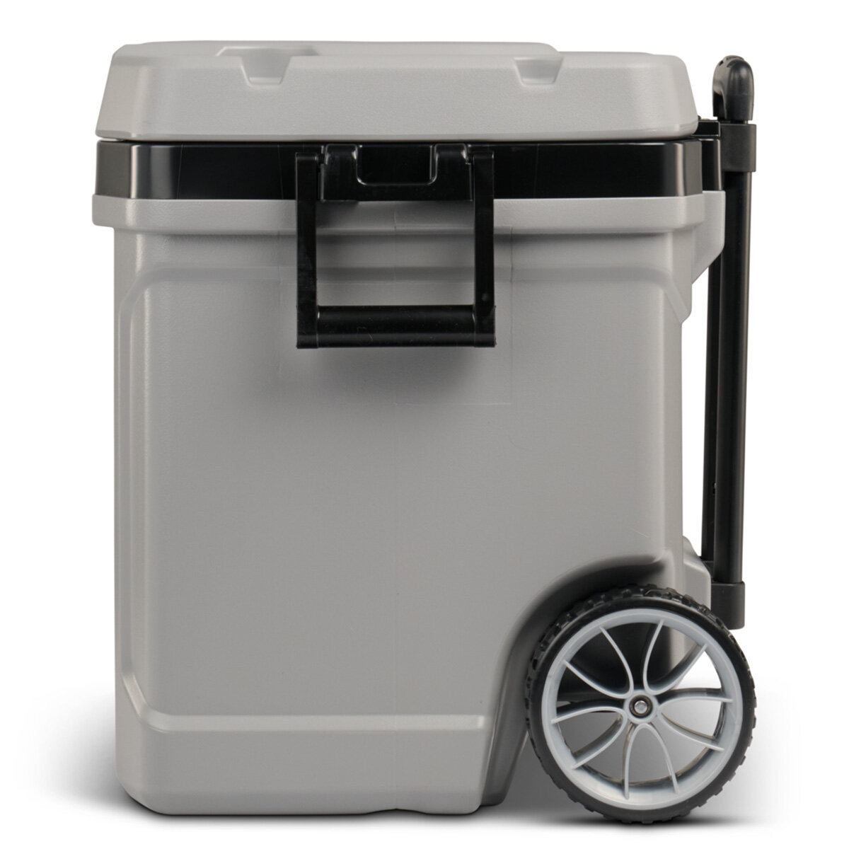 Igloo 62QT Cooler
