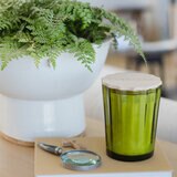 Sand and Fog Scalloped Candle (GREEN)