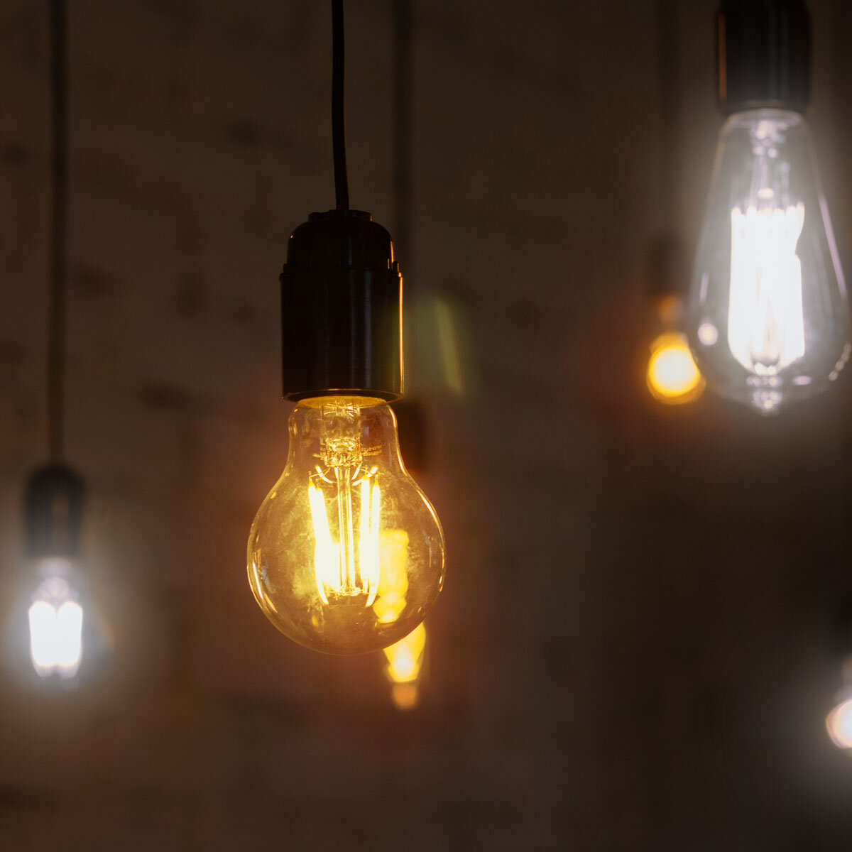 Costco edison shop bulb string lights