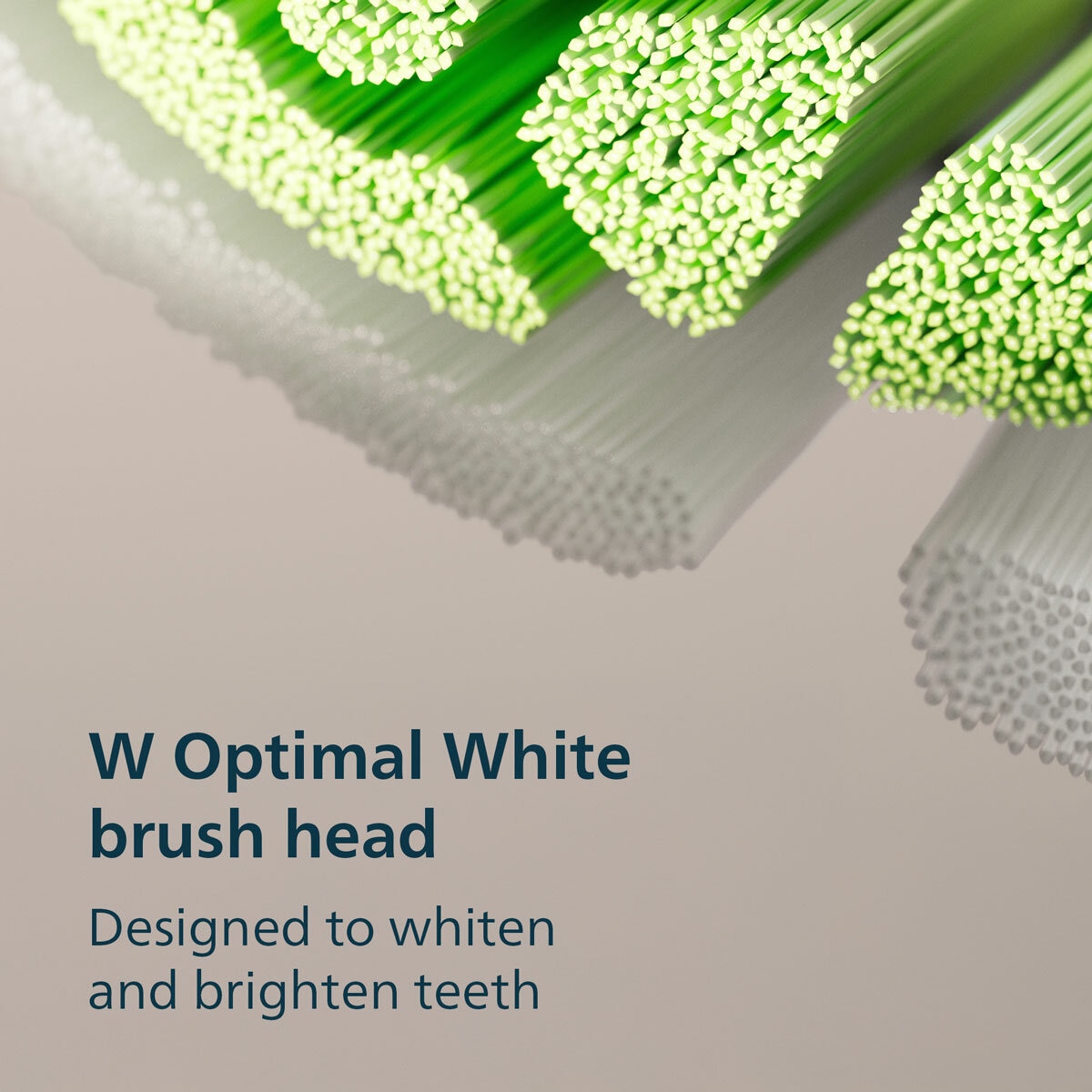 Lifestyle image of optimal white brush head Lifestyle image of optimal white brush head