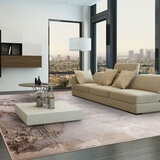 Asiatic Aurora Etch rug