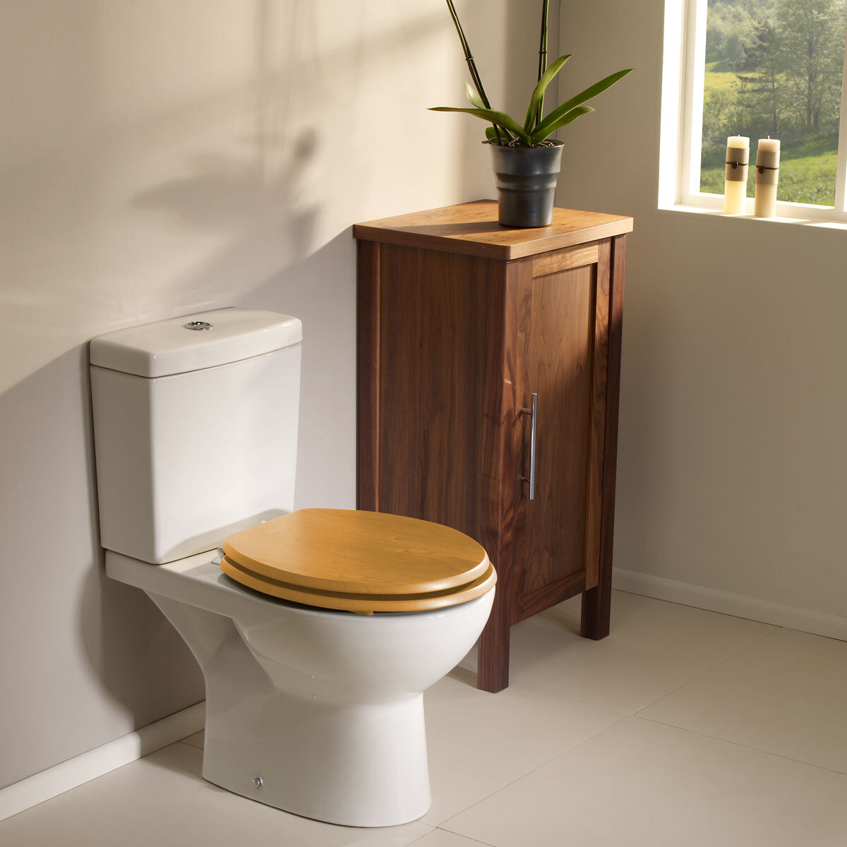 lead image of tilet seat in bathroom