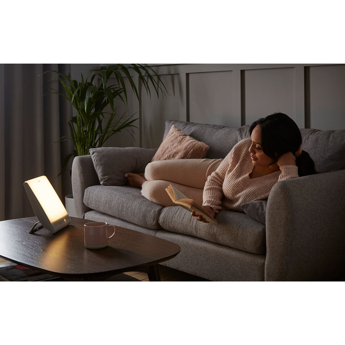 Costco daylight lamp discount